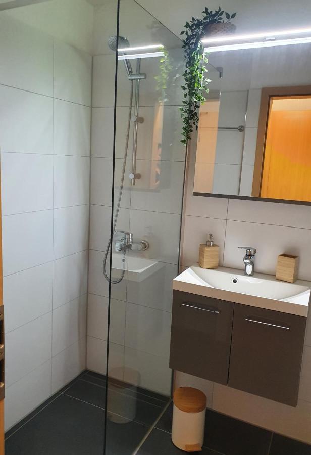 Modernisierte Ferienwohnung Naturseelen Mit Schwimmbad Und Sauna Braunlage Ngoại thất bức ảnh