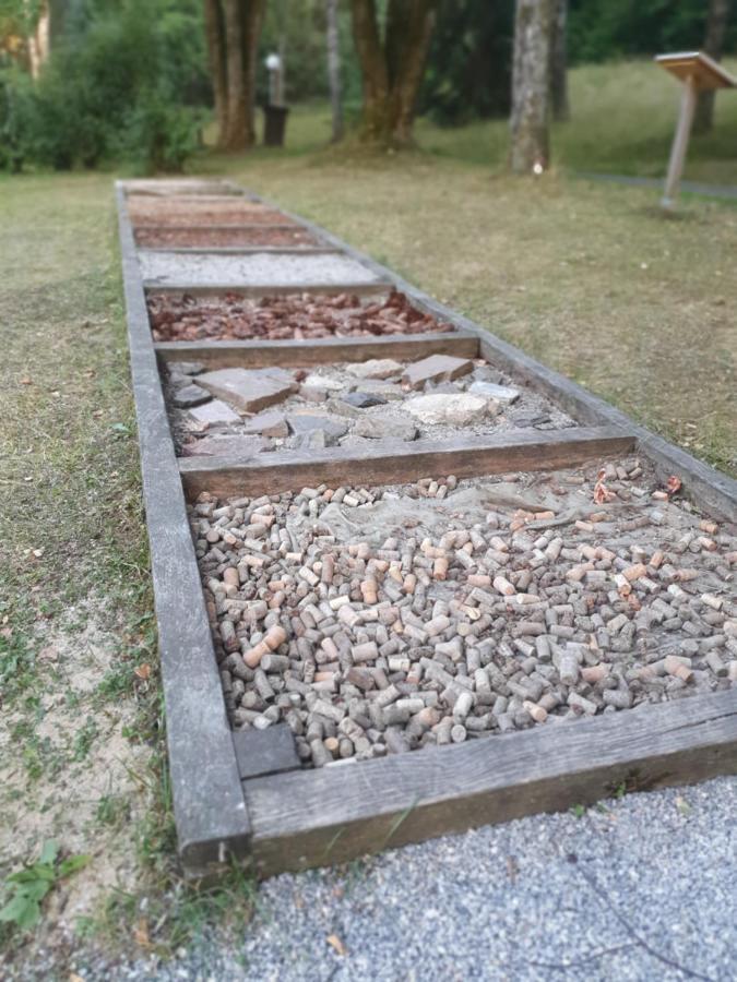 Modernisierte Ferienwohnung Naturseelen Mit Schwimmbad Und Sauna Braunlage Ngoại thất bức ảnh