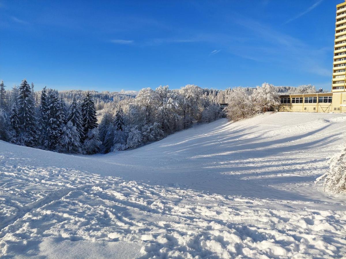 Modernisierte Ferienwohnung Naturseelen Mit Schwimmbad Und Sauna Braunlage Ngoại thất bức ảnh