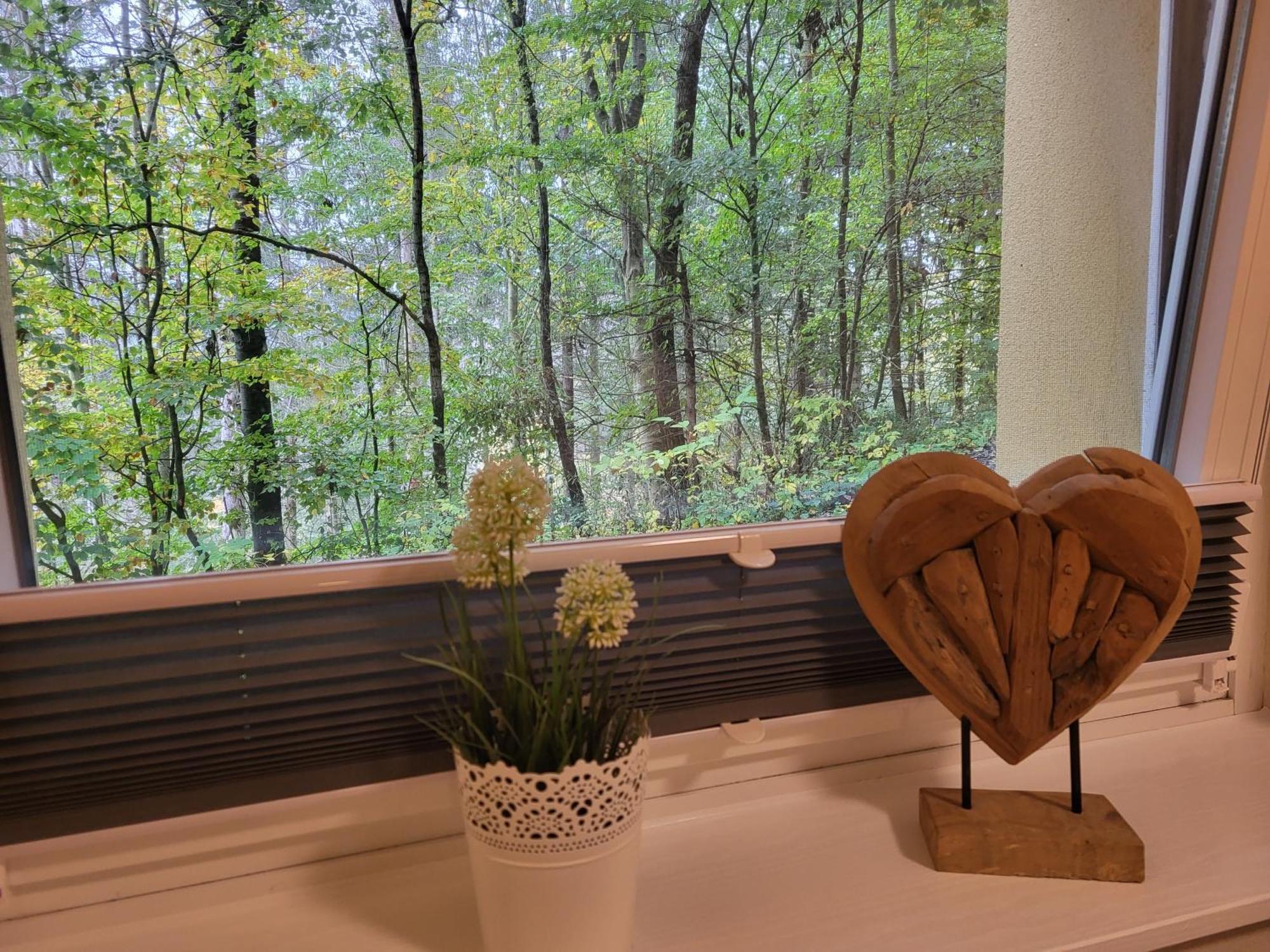 Modernisierte Ferienwohnung Naturseelen Mit Schwimmbad Und Sauna Braunlage Ngoại thất bức ảnh